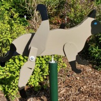Siamese Cat - $35.00 Siamese Cat