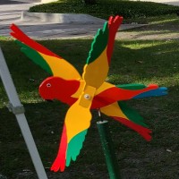 Conure Whirligig