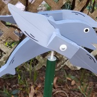 Dolphin
