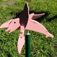 Dolphin, Pink