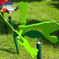 Small Frog