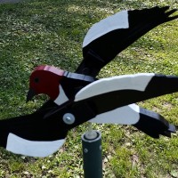 Red Headed Woodpecker Whirligig