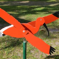 Scarlet Ibis Whirligig