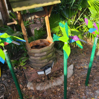 10.5 inch body with 11.5 inch wingspan Small Hummingbird