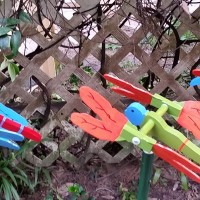 Dragonfly Dragonfly Whirligig