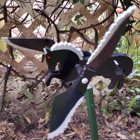 Pegasus Whirligig