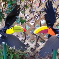 Small Toucan Whirligig
